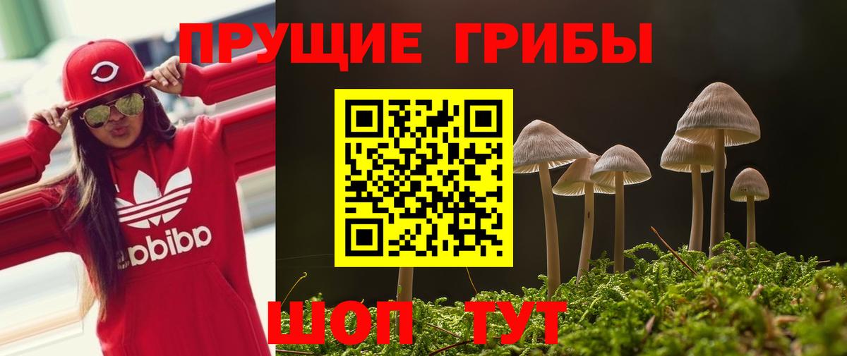 Реутов  Псилоцибиновые грибы Psilocybe  Вход с VPN  Галлюциногенные грибы GOLDEN TEACHER 